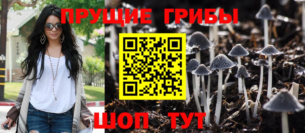 Галлюциногенные грибы MAGIC MUSHROOMS Елец