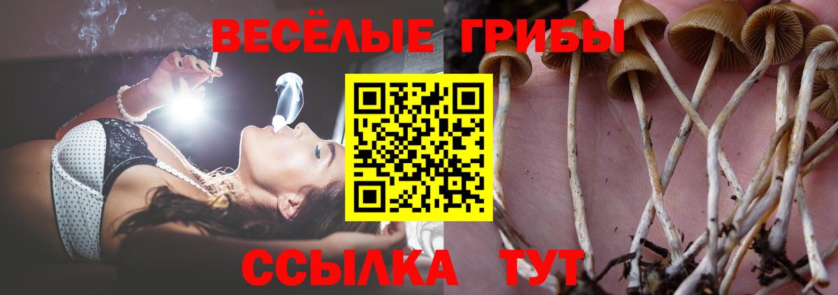 Псилоцибиновые грибы прущие грибы  Галлюциногенные грибы ЛСД  Елец  Вход с VPN 